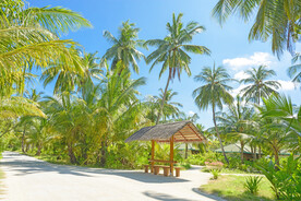 夏日度假村