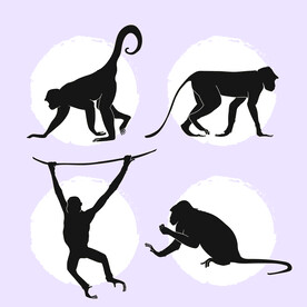 猴子剪影图标