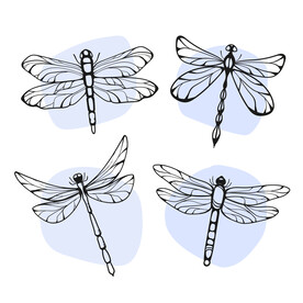 蜻蜓插画