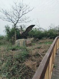 路边风景照片