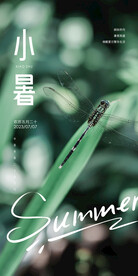 小暑