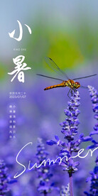 小暑