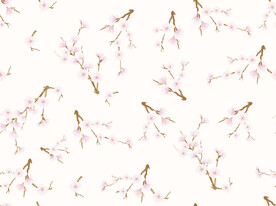 桃花 樱花 梅花