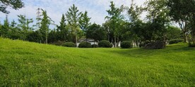 草地绿树蓝天