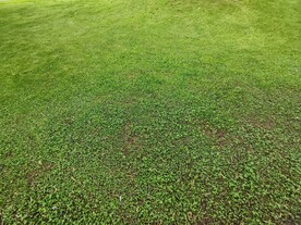 草地素材