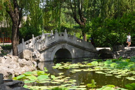 公园风景 