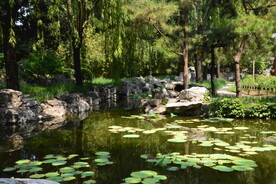 公园风景