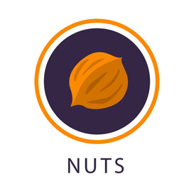 坚果