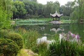 陶然亭风景 