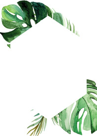 水彩绿植边框 