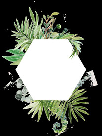 水彩绿植边框 