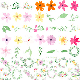 水彩鲜花花卉