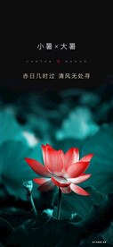 小暑