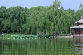 陶然亭风景 