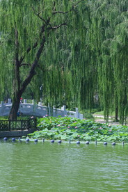 陶然亭风景 