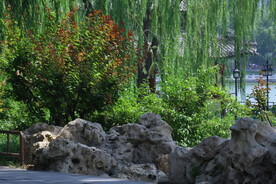 公园风景