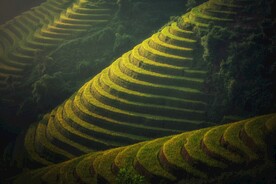 梯田
