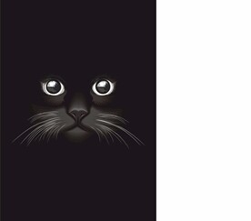 猫咪矢量图
