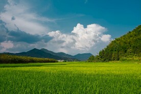 大草原