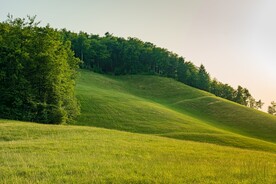 山坡