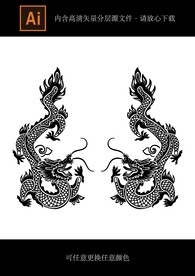 双龙纹