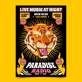 现场音乐会海报  