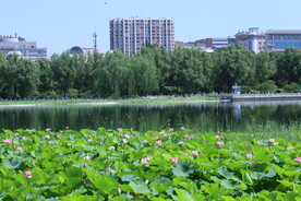 公园风景 