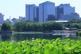 公园风景 