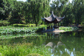 公园风景 