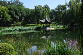 公园风景 