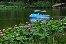公园风景  