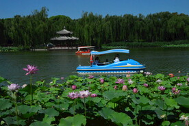 公园风景  