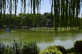 公园风景