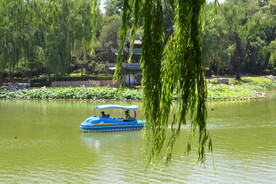 公园风景  