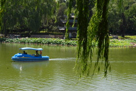 公园风景