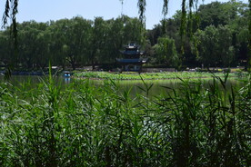 公园风景  