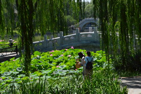 公园风景 
