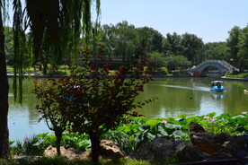 公园风景 
