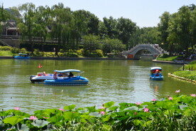 公园风景 