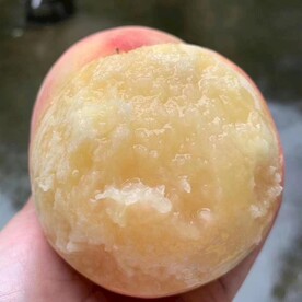 水蜜桃