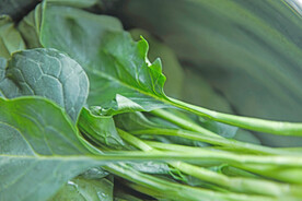 菠菜