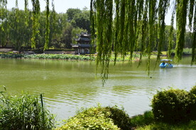 公园风景
