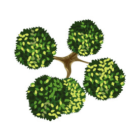 绿色植物