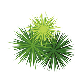 绿色植物 