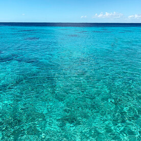 大海