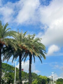 天空