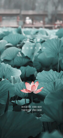 小暑