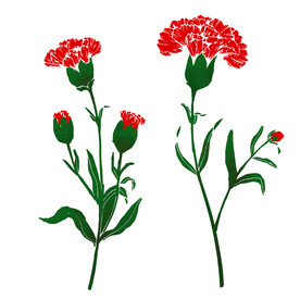 花