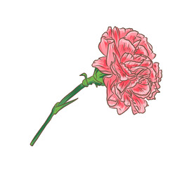花