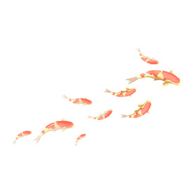 鲤鱼
